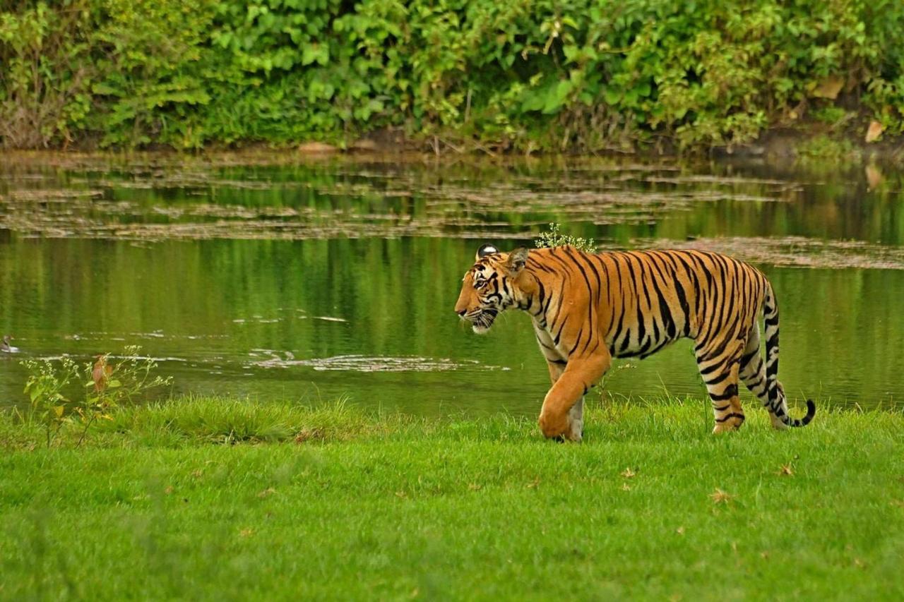 Jungle Trailz Kabini Bed & Breakfast Sargur Exterior photo